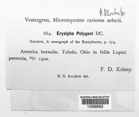 Image Associated With the Occurence